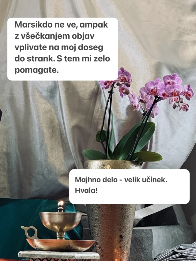 Hvala za vso podporo.